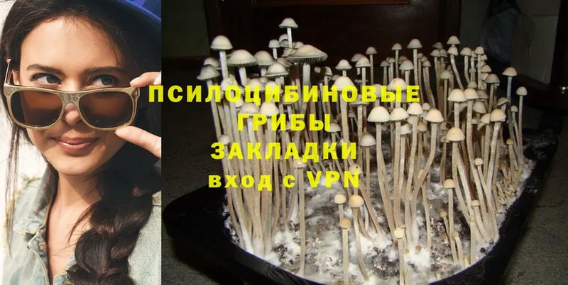 сколько стоит  Верхняя Салда  Псилоцибиновые грибы Magic Shrooms 